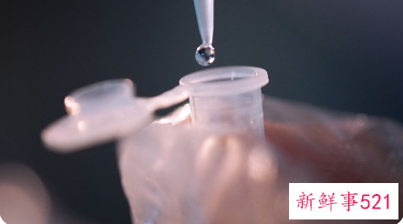 人工授精是什么