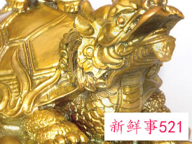 旺财的东西有哪些