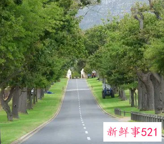 大门隔着路对面有树好不