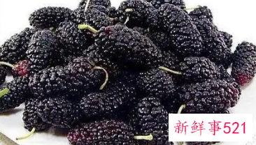 桑葚泡水喝的功效与副作用