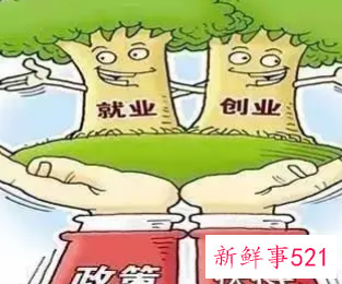 国家扶持的创业项目