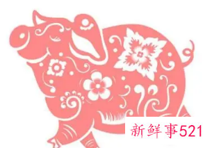 1995属猪最忌几月出生