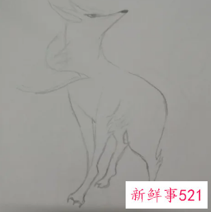 十秒画九尾狐