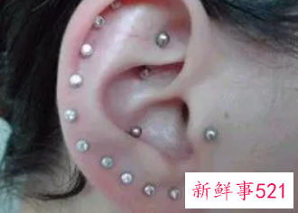 梦见扎耳眼的周公解梦