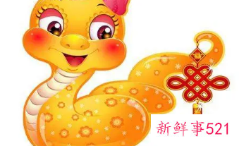 属蛇的真心给了谁