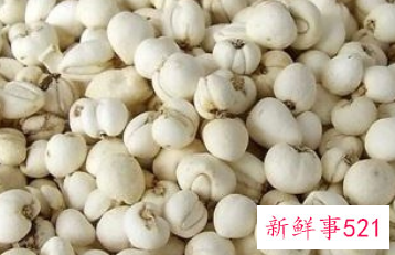 川贝母的作用与功效