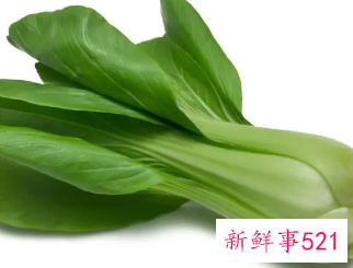 各种青菜大全图片