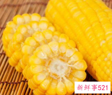 女人梦见玉米预示什么