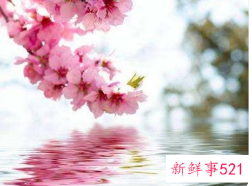 什么样的人有桃花灾