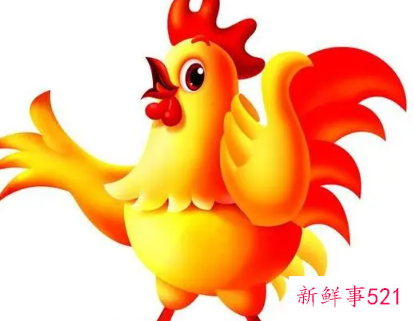 生肖鸡适合发展的城市