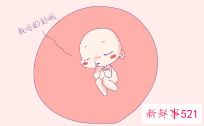 胎儿听力发育的关键期