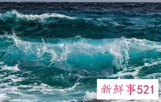 女人梦到水好不好