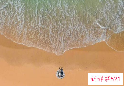 恋爱中如何维持感情