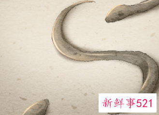 梦见泥鳅什么寓意