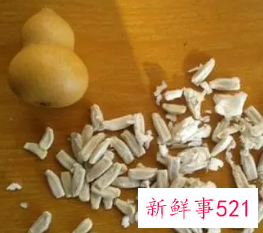 油葫芦籽的功效和作用