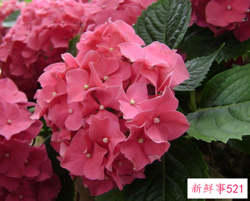 心理障碍可以治愈吗