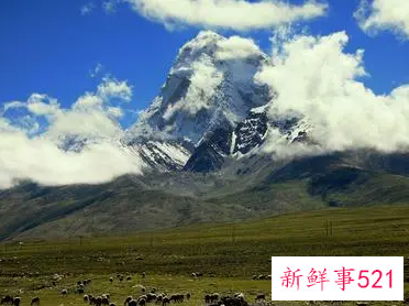 梦见去西藏高原是什么意思