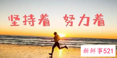 什么是努力什么是坚持