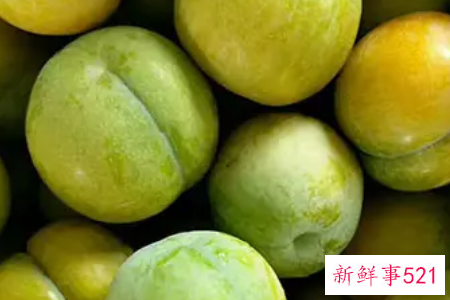 李子什么品种最好吃