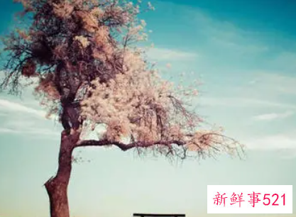 梦见好久不见的朋友是什么意思