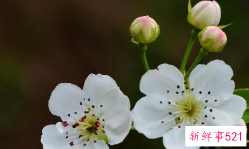 经典情感语录句句扎心