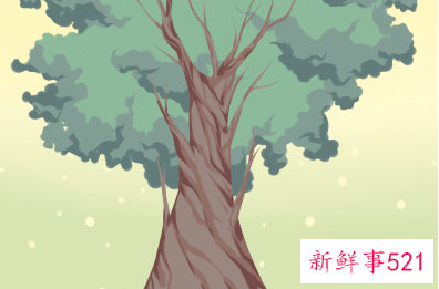 孕妇梦见树什么含义