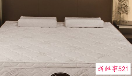 乳胶垫没有螨虫吗