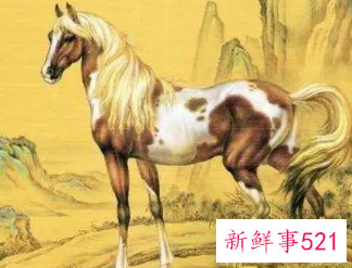 能管得住属马的生肖是