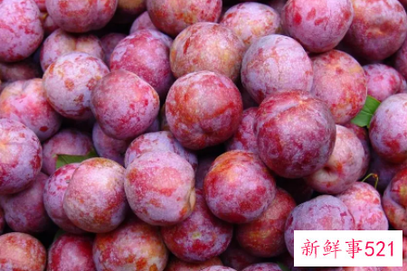 李子什么品种最好吃