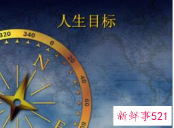 人生目标简短概括