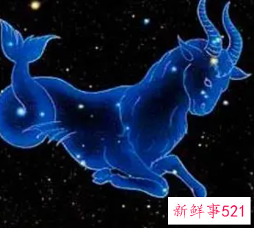 属鼠的摩羯座女生真正的性格