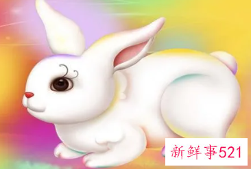 属兔怎么起小名