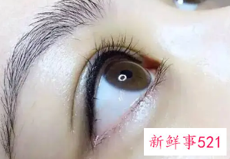 美瞳线后1至7天的变化图