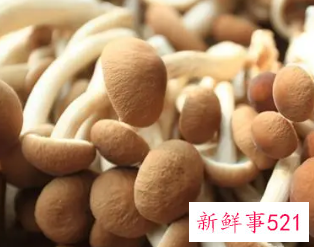 女性吃菌类的坏处