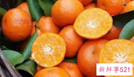 沙糖桔吃多了有哪些危害