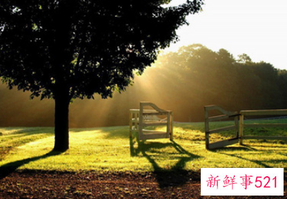 知识竞赛活动感悟