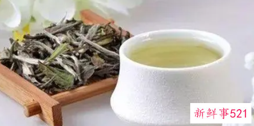 关于白茶的知识