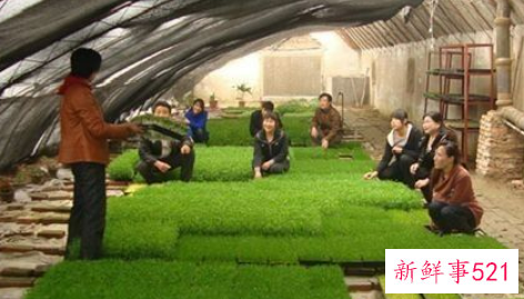 赚钱致富的方法有哪些