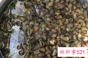 田螺要煮多长时间