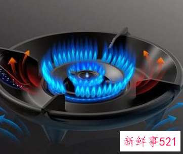 燃气灶排名前十名品牌