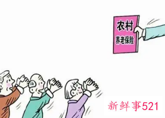 农村养老保险档次选择