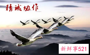 年终总结团队意识怎么写