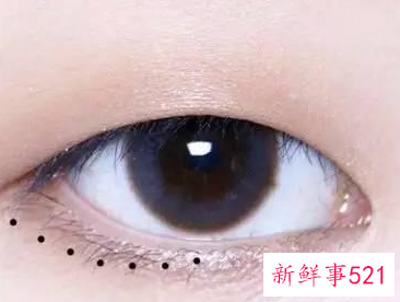 单眼皮和双眼皮怎么区分图片