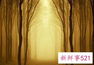 梦见自己的灵魂在游荡