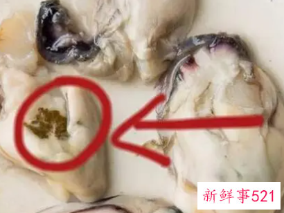 生蚝怎么清洗内脏图解