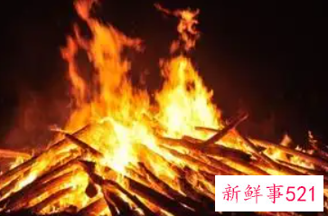 梦见树根生火周公解梦