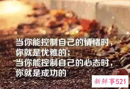 在职场解释就是掩饰