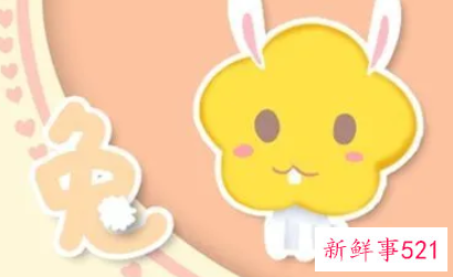 兔子佩戴什么旺