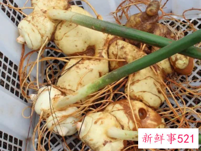 吃黄精对女人有什么好处