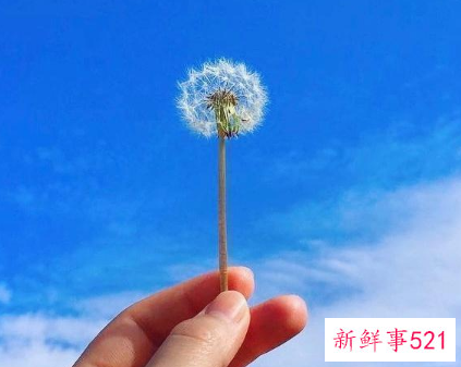 美容面部基础手法